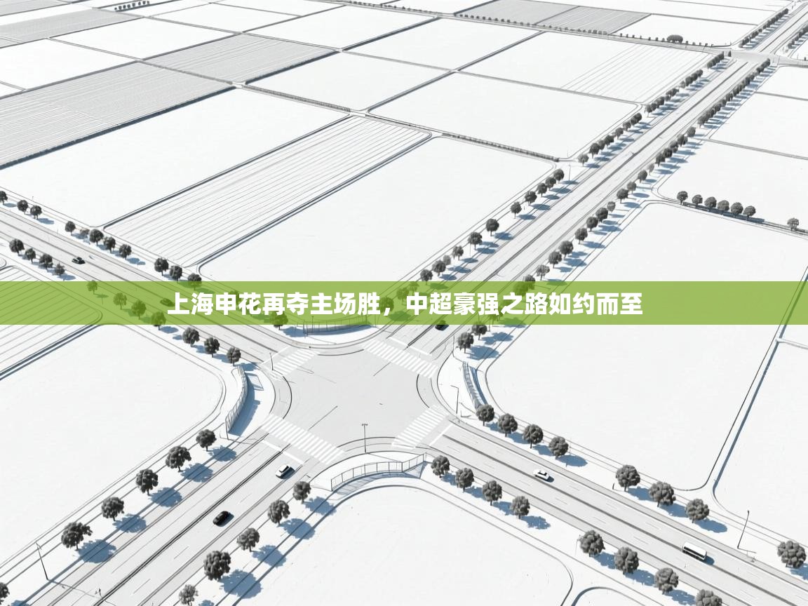 上海申花再夺主场胜,中超豪强之路如约而至 第2张