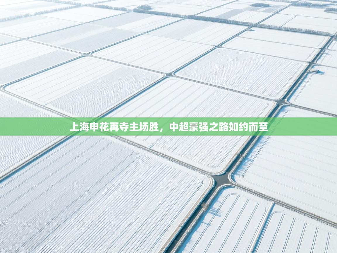 上海申花再夺主场胜,中超豪强之路如约而至 第1张